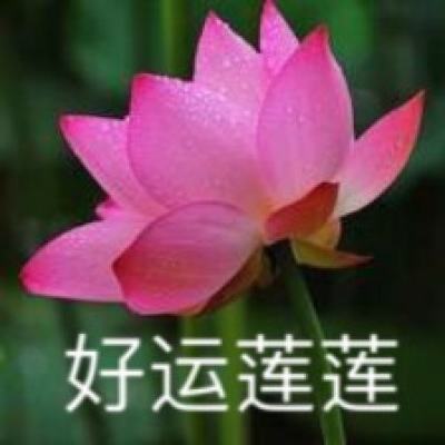 富汇国际集团控股(01034.HK)委任先机为新任核数师